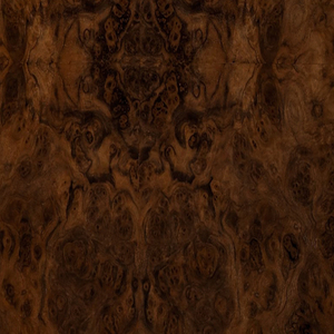 Burr Walnut briar root wood