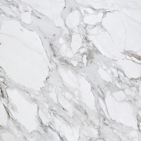 Calacatta marble